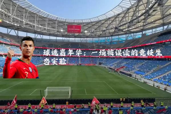 球迷嘉年华：一场被误读的竞技生态实验